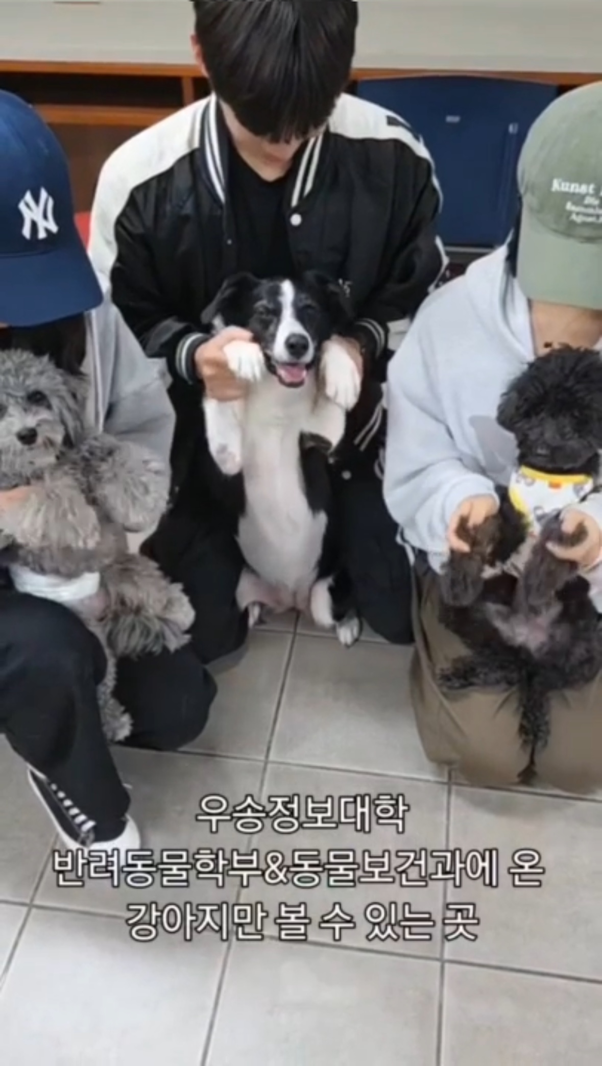 우송정보대학 반려동물학부 학과홍보 영상