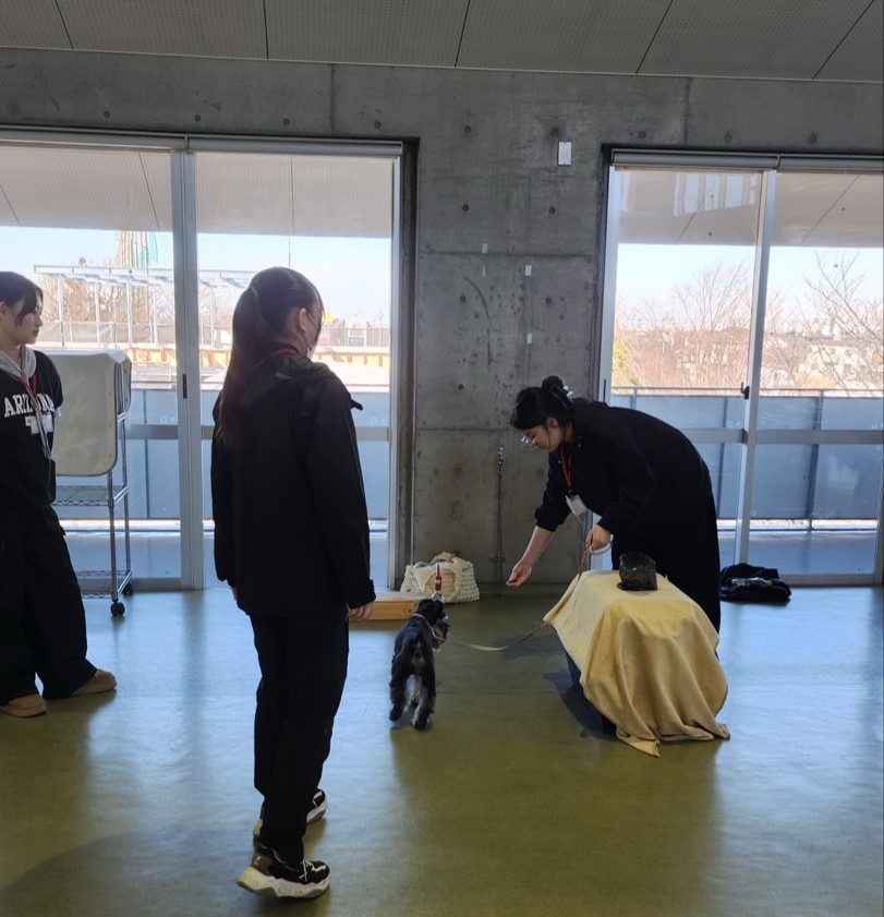 2025 일본 해외전공 연수 (동물관리전공 학생 후기)