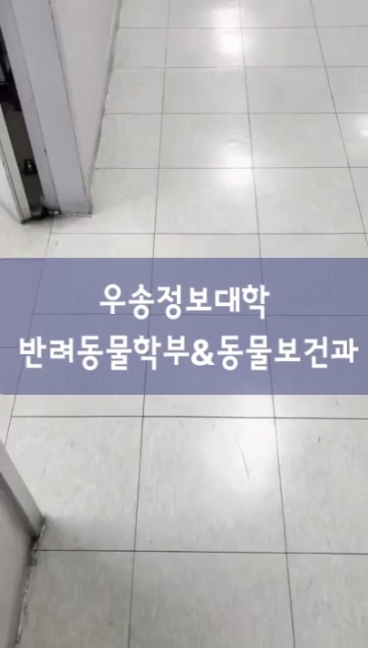 반려동물학부 등록 잊지말고 내년에 만나요!