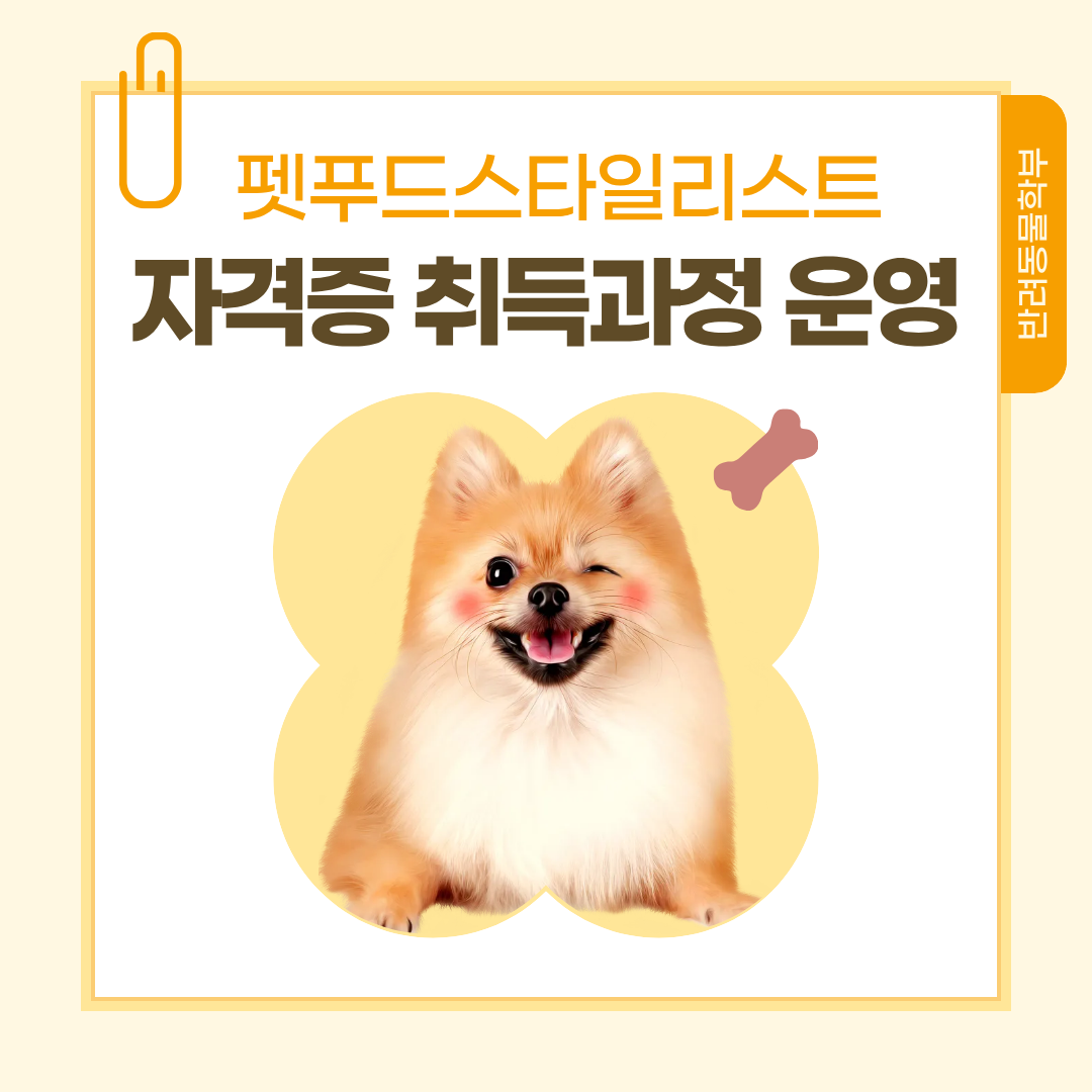 우송정보대 반려동물학부 펫푸드스타일리스트 자격증 취득과정