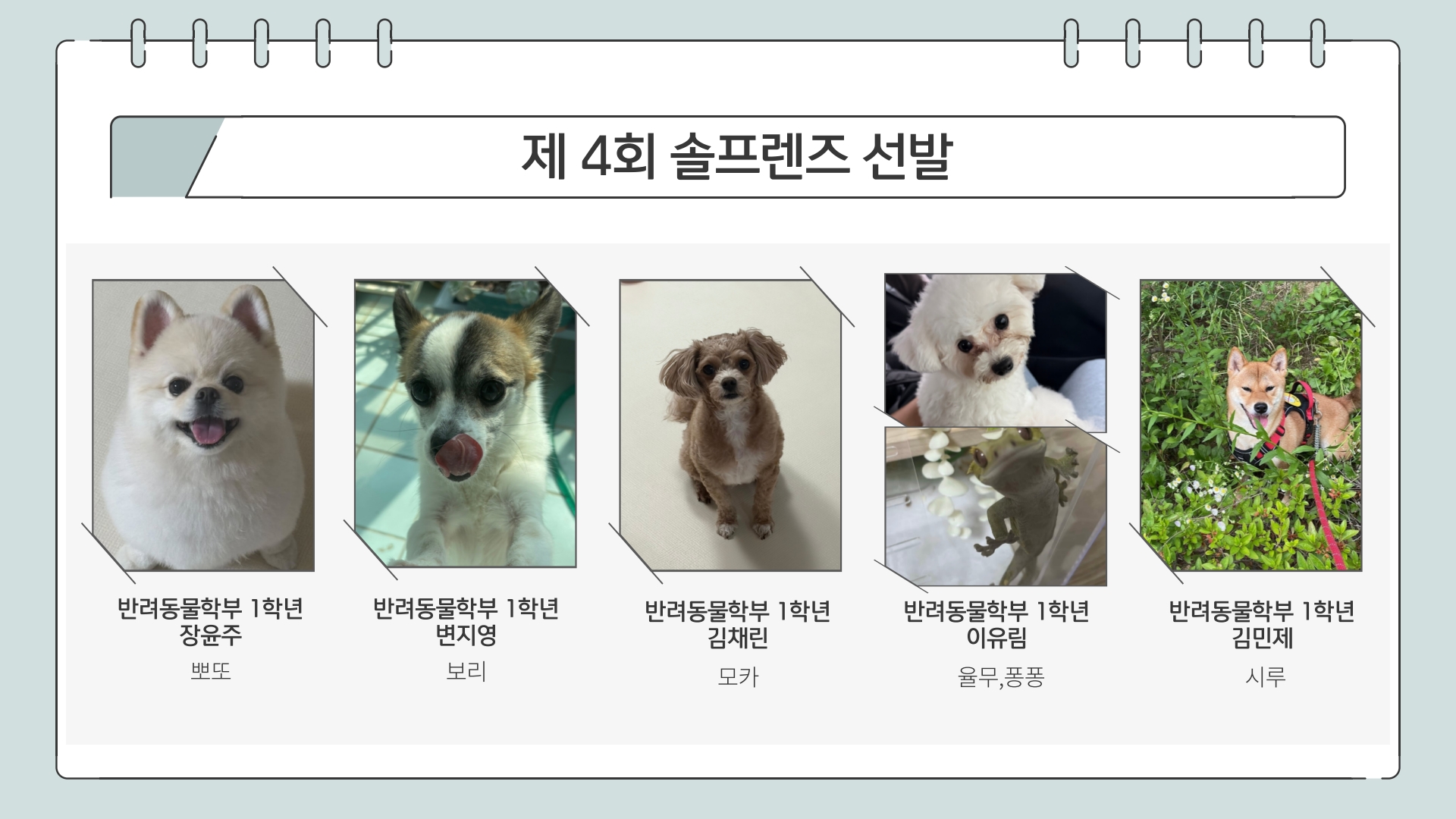 2026학년도 제4회 솔프렌즈 선발