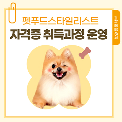 펫푸드스타일리스트 자격증 취득과정 운영