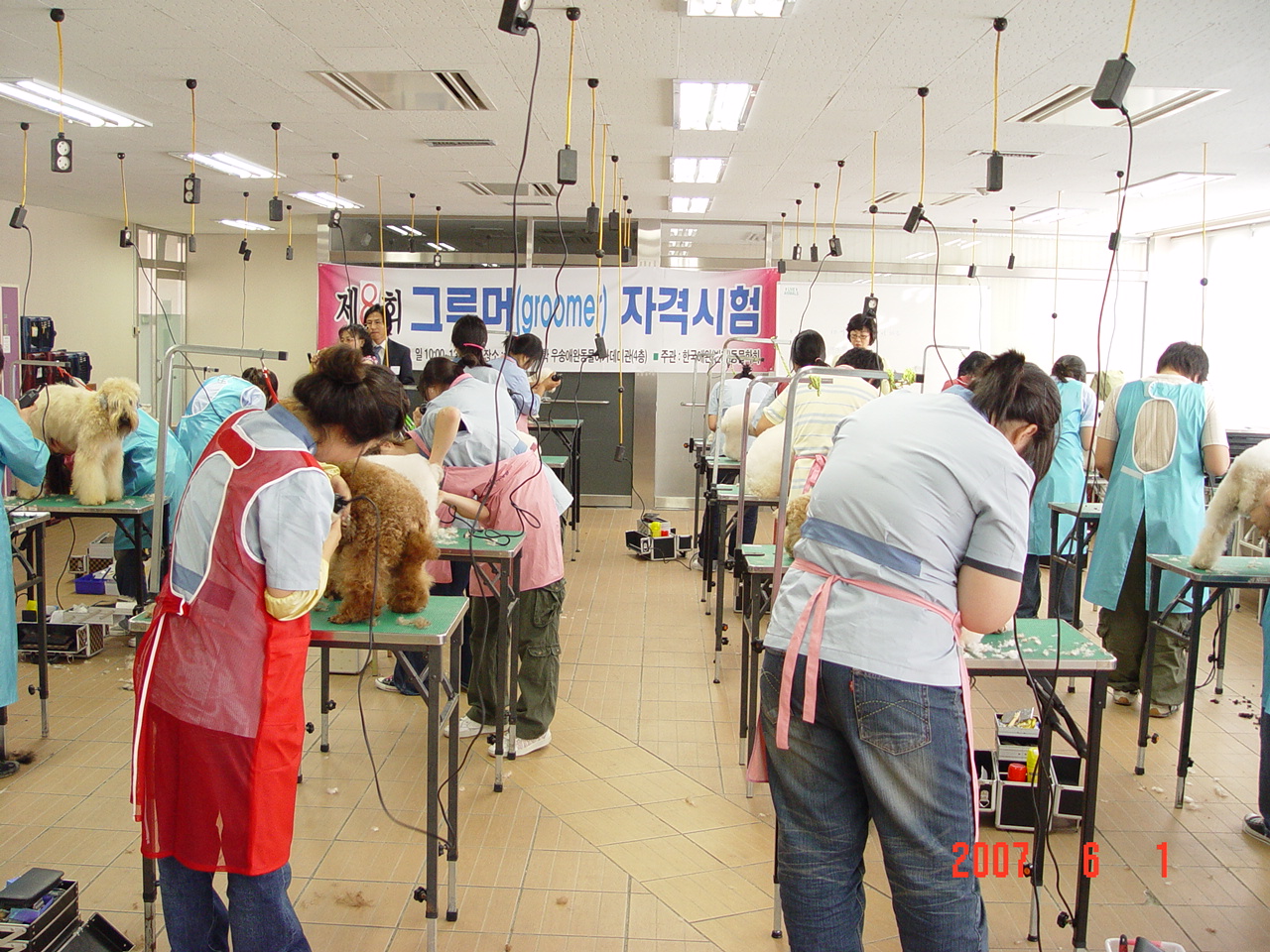 제8회 한국애완(반려)동물학회 그루머 자격시험 개최